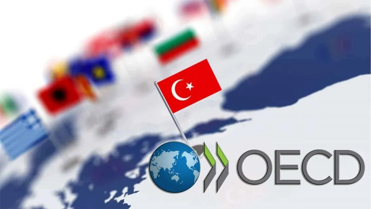 OECD 2025 Türkiye büyüme tahminini yükseltti
