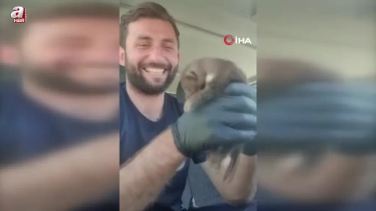 Sakarya’da ayı yavrusu sanılan hayvan sansar yavrusu çıktı