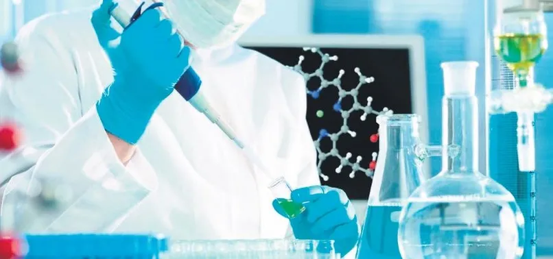 Gıdada ‘yerli enzim’ atağı