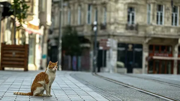 Son dakika: Sokağa çıkma yasağı gelecek mi? Şehirler arası seyahat yasağı olacak mı? Gözler kritik toplantıda!