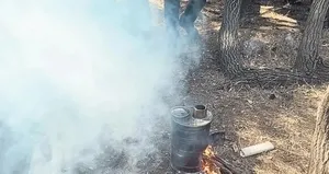 Milli parkta orman yangınlarına davetiye çıkartılıyor