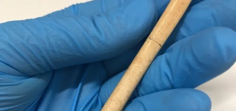 Dünyanın en eski kemik takısı bulundu