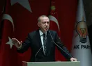 Erdoğan tek tek hadlerini bildirdi!