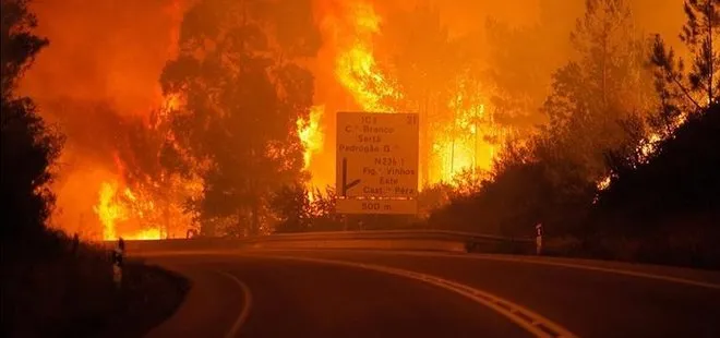 Portekiz’deki orman yangınında bilanço artıyor: 63 ölü, 135 yaralı!