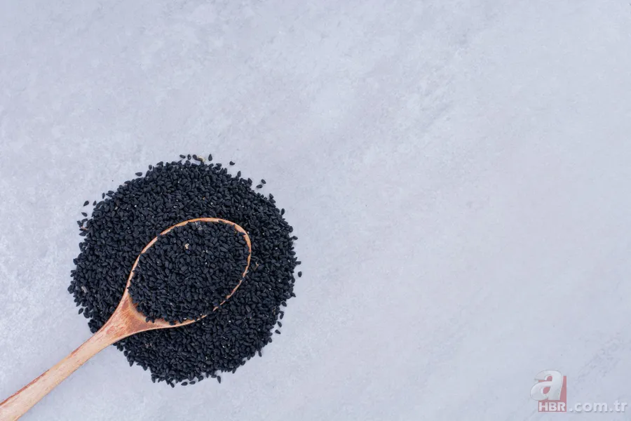 İbn-i Sina'nın unutulan migren tedavisi! Tek başına ağrınızı bıçak gibi kesecek 3