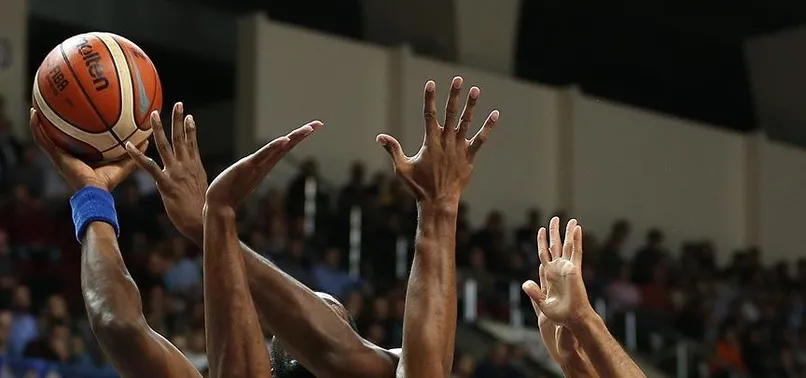 Anadolu Efes'ten pota altına takviye