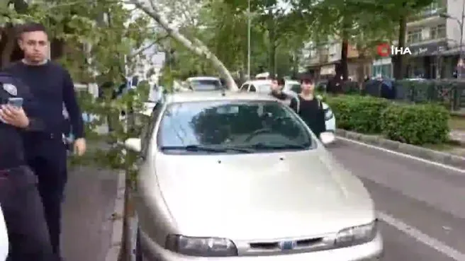 Ağaç otomobilin üzerine düştü