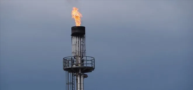 AB’de doğal gaz alarmı