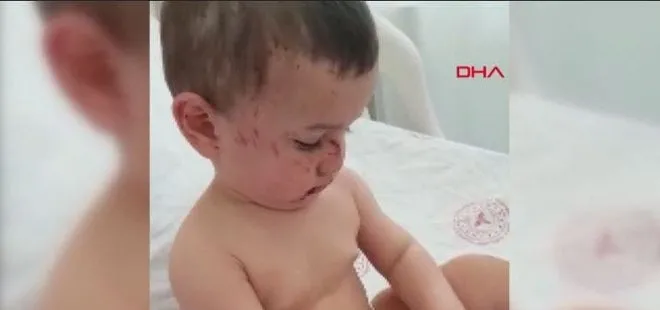İstanbul’da 6. kattan düşen 2 yaşındaki çocuğun mucize kurtuluşu
