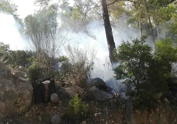 Antalya'da orman yangını! 1 saatte kontrol altına alındı