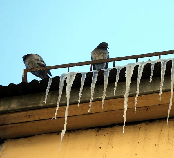 Meteoroloji'den uyarılar peş peşe geldi: Bu gece yarısından itibaren... | İstanbul'a kar yağacak mı? - 11