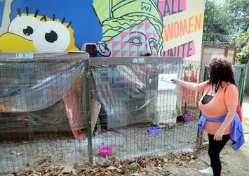 CHP'li Beşiktaş Belediyesi Abbasağa'da ağaç kıyımına devam ediyor!