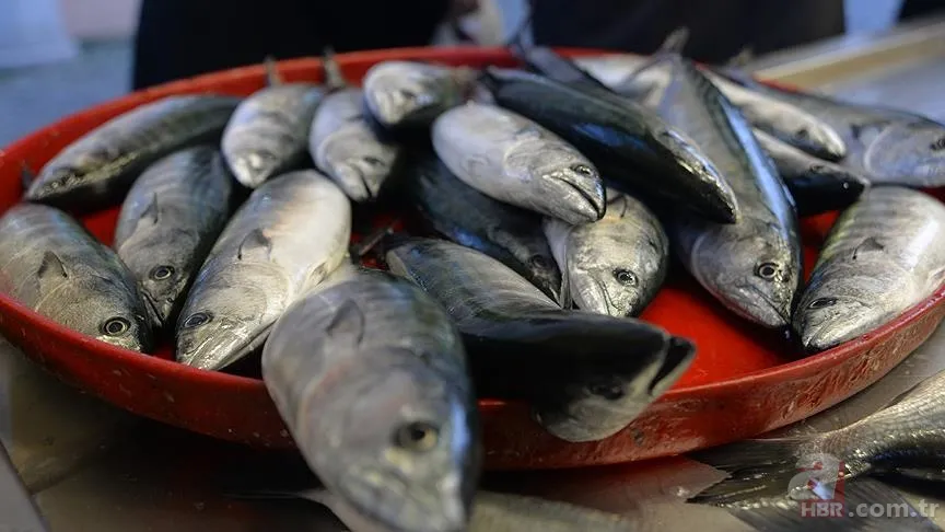 Sezonu açıldı: Hangi ayda hangi balık yenir? Ekim ayında yenilmesi gereken balıklar 7