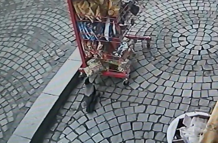 Kastamonu'da şaşırtan görüntü! Cips hırsızı kargalar böyle yakalandı! İşte hayvanların 'bu kadarına pes' dedirten anları