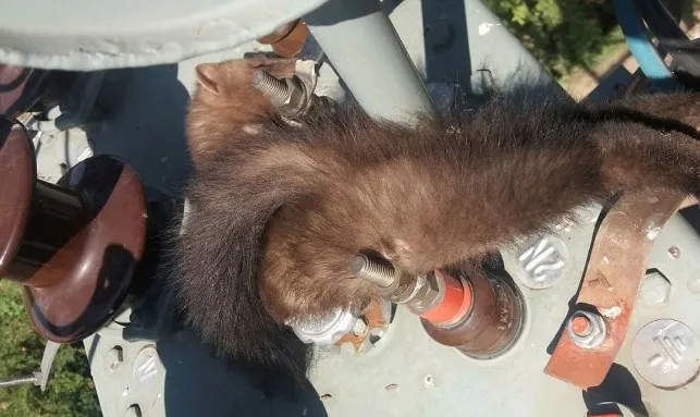 Manisa'da sansar bin kişiyi 2 buçuk saat susuz bıraktı - 2
