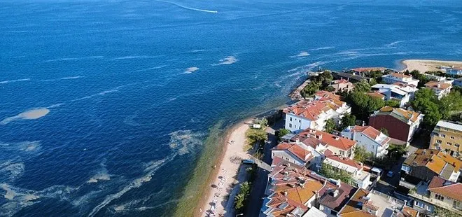 Marmara'da müsilaj kabusu yeniden ortaya çıktı