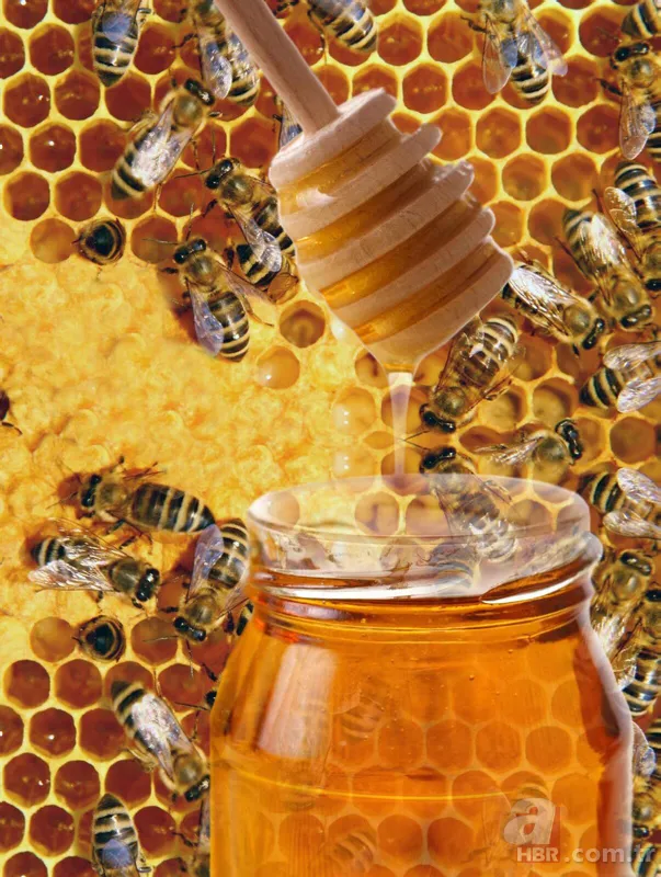 Bunu kışın içeceğine atan hasta olmuyor! Faydaları saymakla bitmeyen besin kansere geçit vermiyor 11