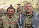 PKK-KCK’nın sözde kurye sorumlusu öldürüldü