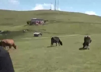 Türkiye’nin Yaylaları: Limonsuyu Yaylası