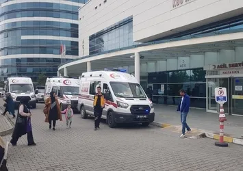 Domuz zannetti yengesini vurdu! Yer: Karabük