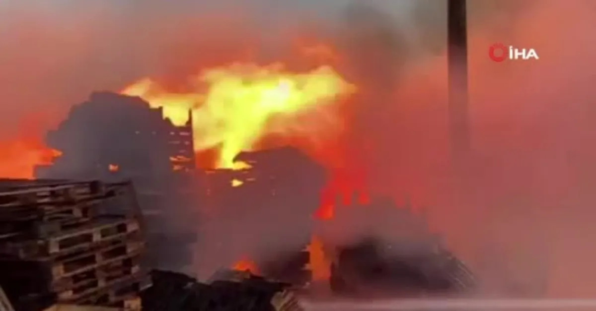 Kocaeli’de palet deposu alevlere teslim!