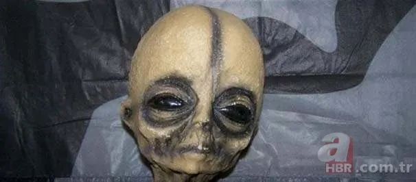 NASA'dan uzaylı itirafı 14