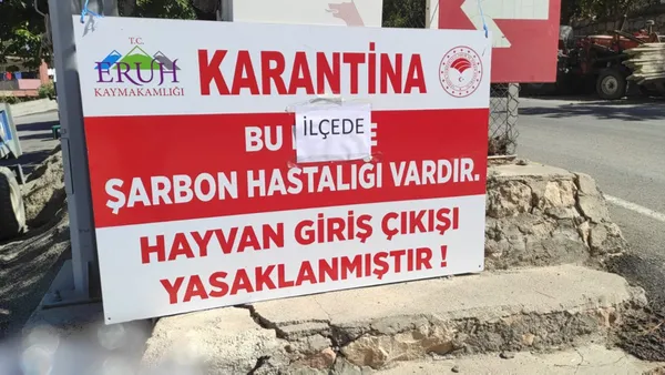1631182742316.jpg Siirt'te şarbon alarmı! O ilçeye hayvan giriş ve çıkışı yasaklandı - 2