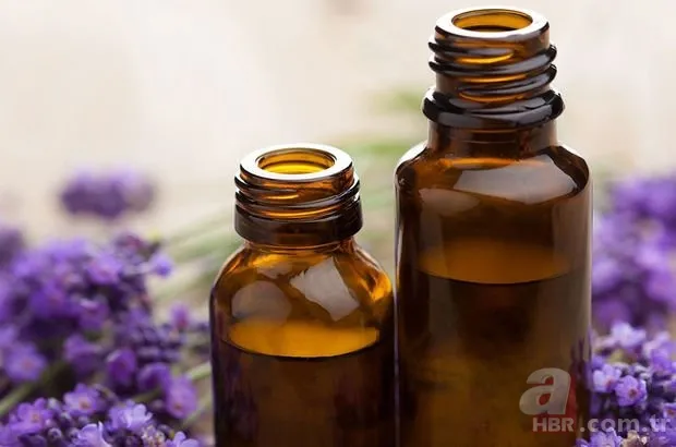 İbn-i Sina'dan Migren ağrısını tarumar edecek reçete! Baş ağrınızı silip atacak asırlık tedavi! Meğer bu iki çiçeğin tek damlası... 3