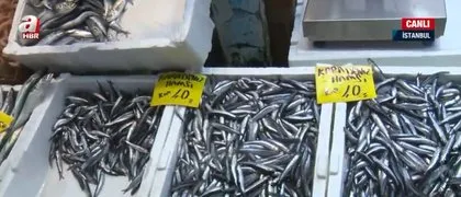 Balık tezgahlarının bereketi arttı! Balık fiyatları nasıl? Hamsi ne kadar? Fiyatlar düşecek mi? Denizlerin canavarı etkisi