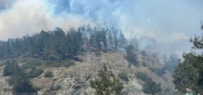 Son dakika: Hatay'da korkutan orman yangını!