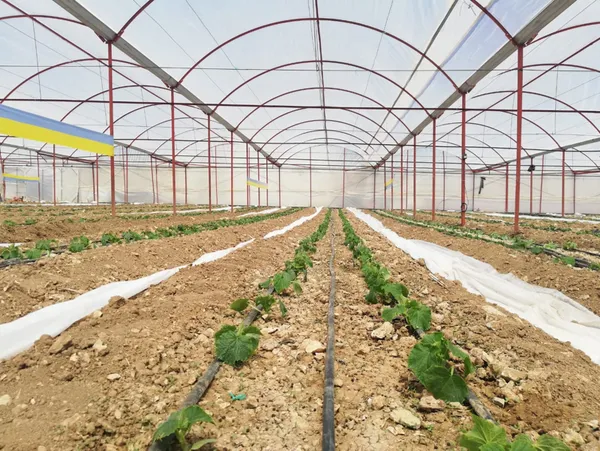 Şehirden köye dönene büyük teşvik! Resmi Gazete’de yayımlandı