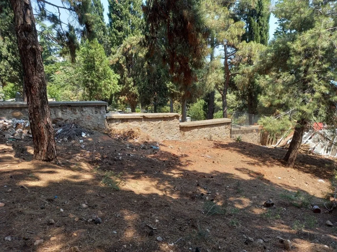 Büyükada'da defin yeri kalmadı! CHP'li İBB'den skandal çözüm: Kaçak mezarlık