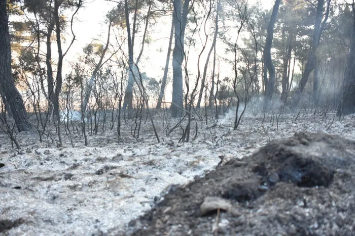 zmir'in Buca ilçesinde başlayıp Gaziemir ilçesine sıçrayan yangın 20 saatte kontrol altına alındı.