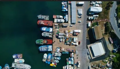 Av yasağı 1 Eylül’de sona eriyor! Bu sene palamut yok hamsi çok
