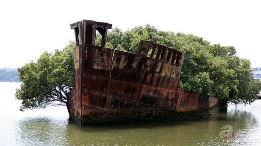 Hikayeleriyle tüyler ürperten 7 terk edilmiş yer! 8