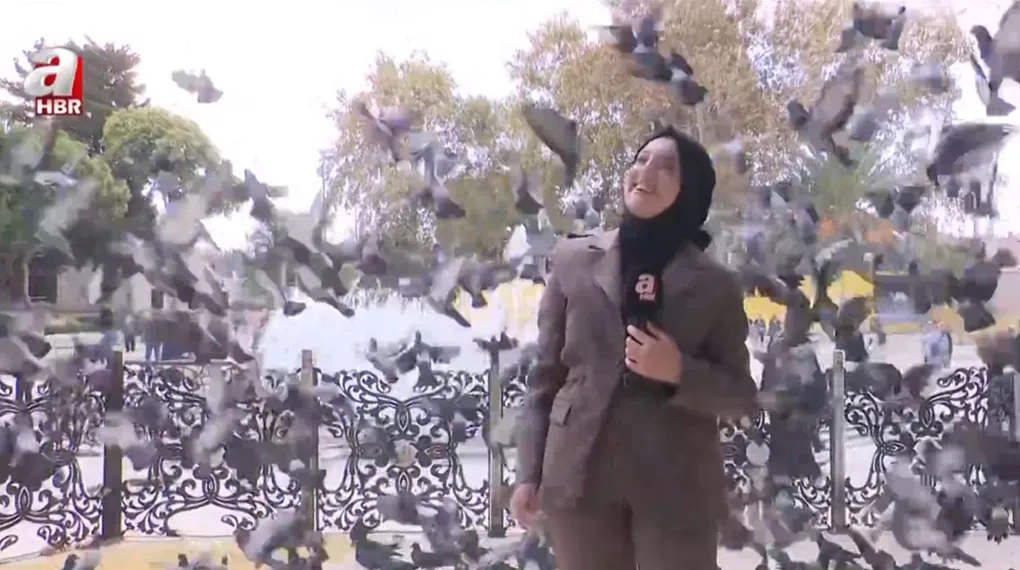 İstanbul'un tarihine eşlik eden güvercinler
