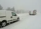 O yol kar yağışı nedeniyle ulaşıma kapandı