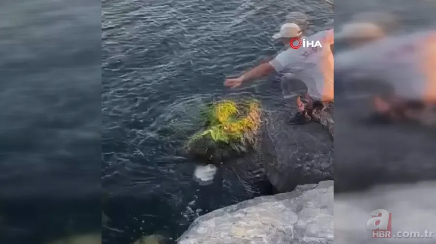 İstanbul Pendik’te şoke eden olay! Balıkçının oltasına öyle bir şey takıldı ki… 1