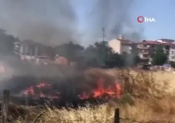 Tekirdağ'da mahalle arasındaki arazi yangını korkuttu: 50 güvercin son anda kurtarıldı