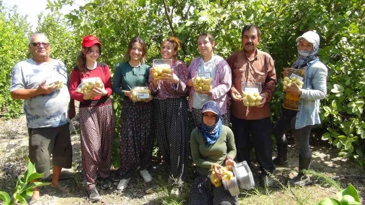 15 liradan satılıyor! Kansere karşı mucizevi meyve! Kimse bilmiyordu, o ilimizde hasadı başladı!