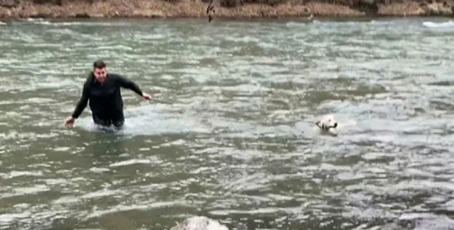 Tunceli’de köpeği kurtarmak için gözünü bile kırpmadan buz gibi suya atladı - 4