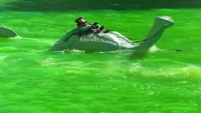 İlginç anlar! Yeşile boyandı