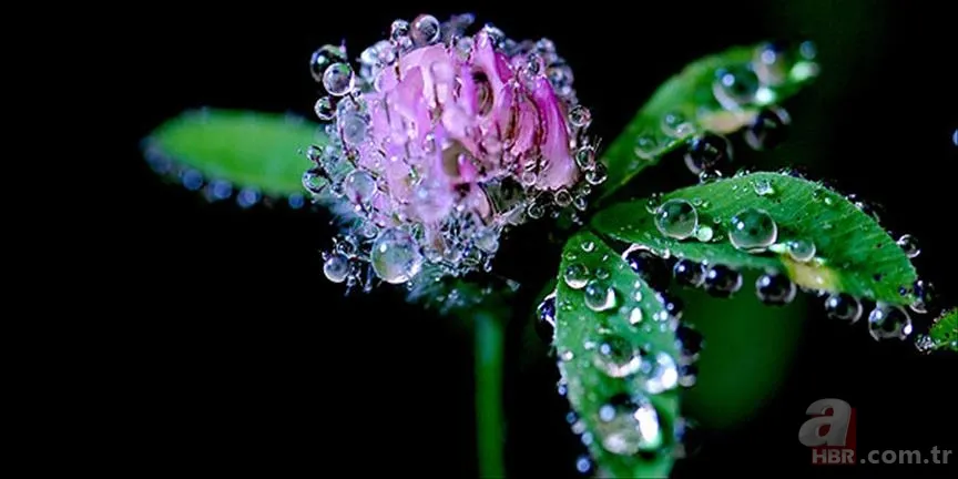 2. cemre suya ne zaman düşer? İlk, İkinci ve Üçüncü Cemre Tarihleri 2025 4