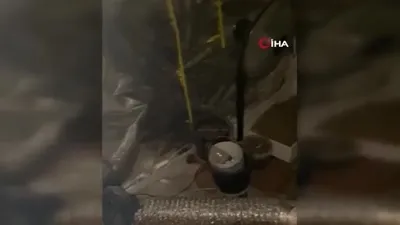 Ev giren polisler gözlerine inanamadı