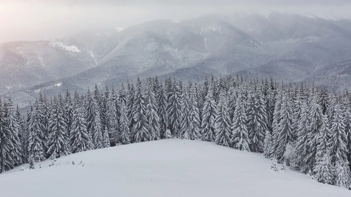Rüyada kar yağdığını görmek ne demek, rüyada karda yürümek ne anlama gelir? İşte, rüya tabirleri