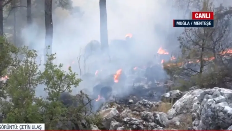 A Haber Muğla’daki yangın bölgesinde