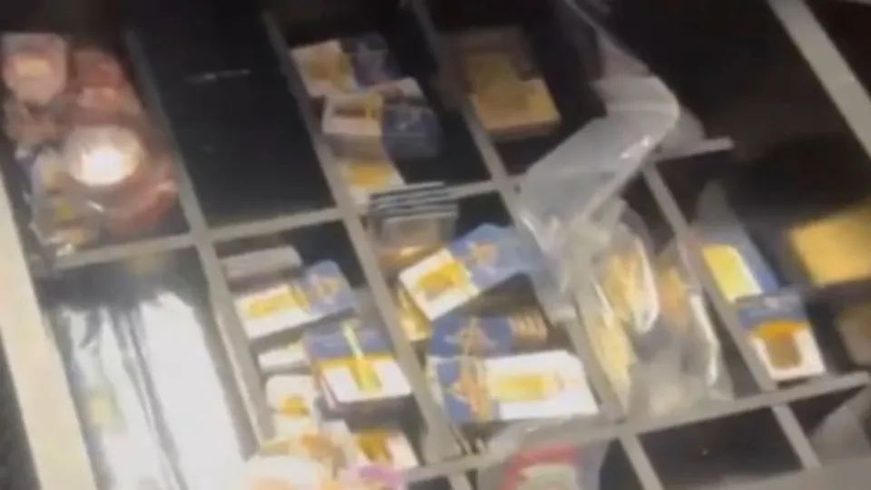 Adliye hırsızlığında 10 şüpheliye gözaltı