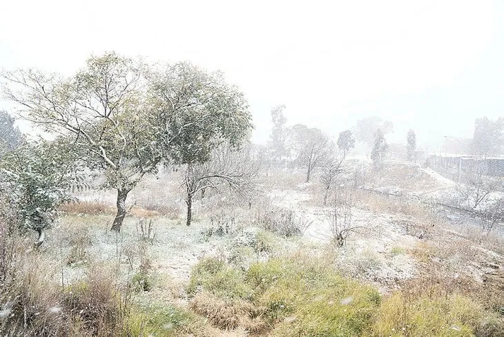 Güney Afrika’ya yıllar sonra kar yağdı!