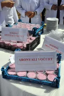 Aronya, Türk tarımına kazandırıldı 4