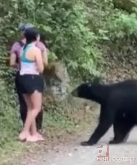 Görüntüler Erzurum’dan… Ayı çobana saldırdı! ‘Ayının altından kurtuldum ve…’🐻 11